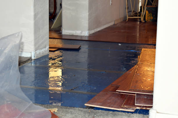 Professional Sewage Cleanup technician working in Mantachie, MS
